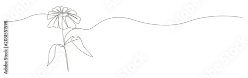 Flower line drawing creates a minimal botanical shape in continuous line art