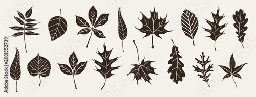 Foto Autumn leaves black silhouettes set