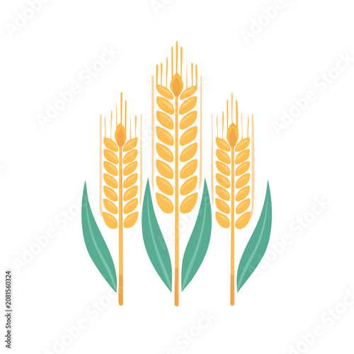 Three Wheat Stalks with Green Leaves