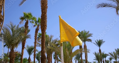 Slow motion footage of a yellow flag in a tropical resort surrounded by palm trees and landscaped gardens beneath a clear blue sky during a bright sunny day in a warm holiday destination