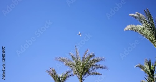 Passenger aircraft flying above tropical palm trees in Sharm El Sheikh Egypt beneath a clear blue sky creating a peaceful holiday travel scene with resort atmosphere and summer tourism feeling