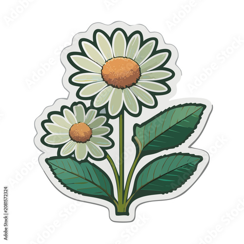 Two daisies with green leaves