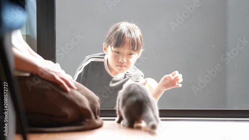 Child smiles warmly near curious cat. Sunlight streams through window, soft and gentle. Child reaches out, gently interacting with feline. Cat watches attentively, ears perked, eyes focused