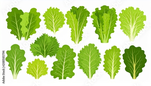 Close-up of vibrant green ivy leaves in natural sunlight.