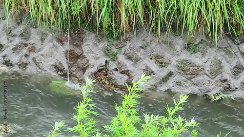 激しい川の流れ