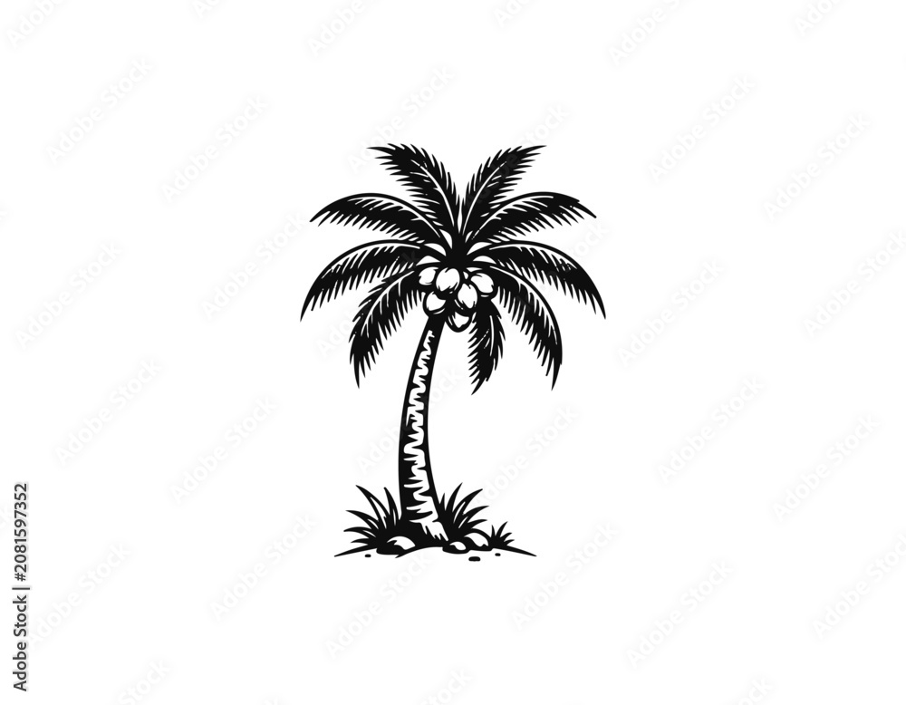 Fototapeta premium coconut tree
