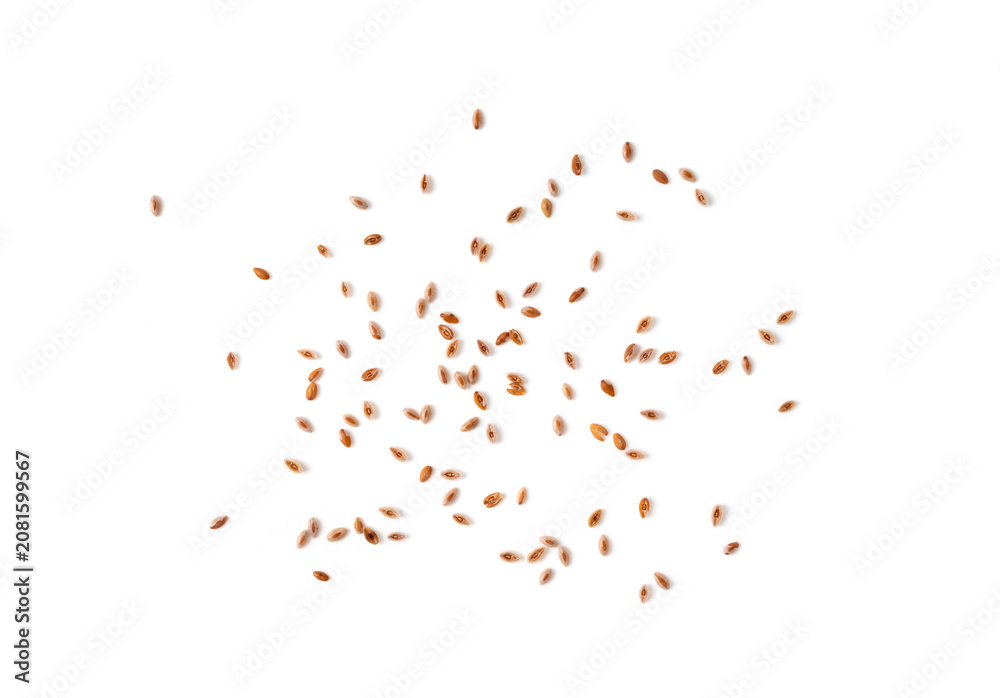 Fototapeta premium Plantago ovata seeds, Psyllium husk, isabgol dietary fiber or ispaghula