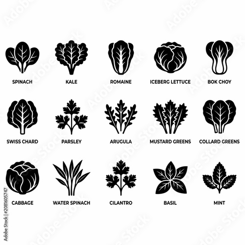 set of black silhouettes of trees