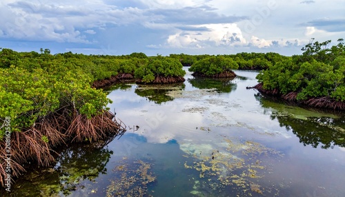 Serene river winding through lush green valley landscape.