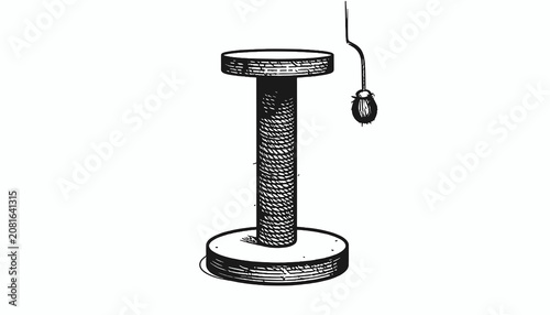 Obraz na płótnie Cat toy with dangling ball.