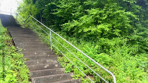 Stone concrete stairs leading upwards in a green park