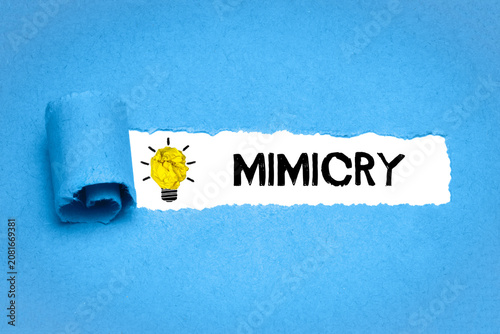 Foto Mimicry