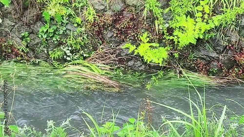 激しい川の流れ