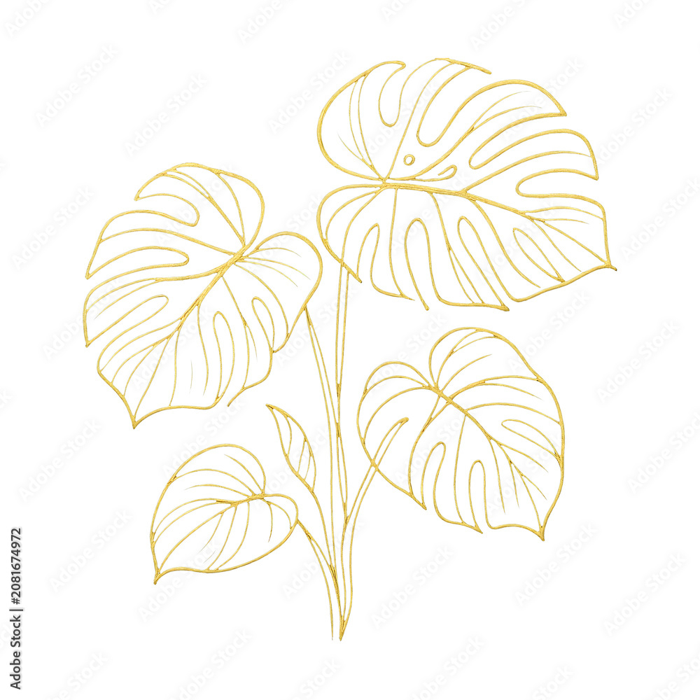 Fototapeta premium PNG Elegant golden monstera line art