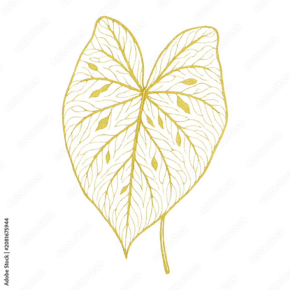 Fototapeta premium PNG Elegant golden leaf illustration.