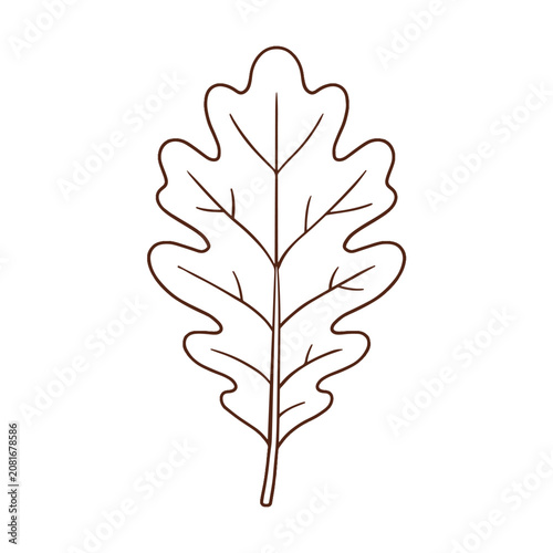 Oak Leaf Outline Vector Illustration