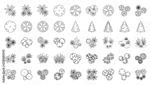 Landscape Architecture CAD Vector Plant Symbols Trees Shrubs and Grasses Set