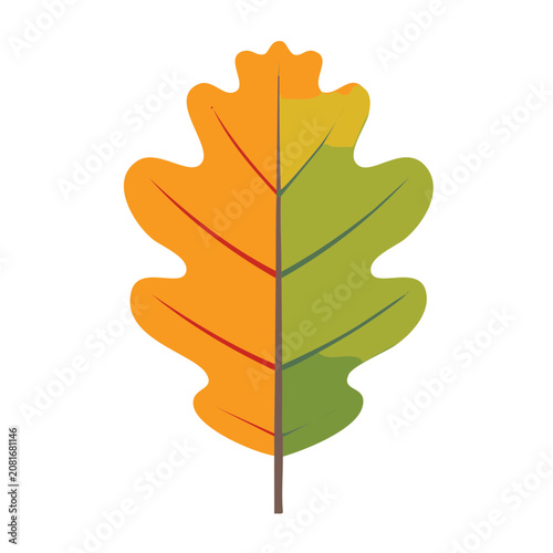 Flat design oak leaf with orange and green colors