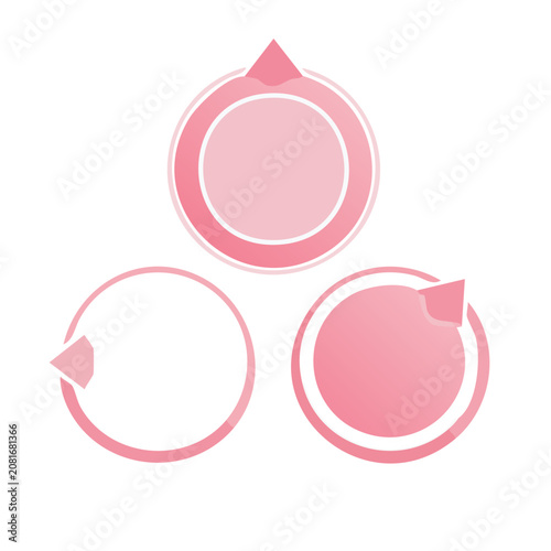 Pink circular icons with arrows and flag