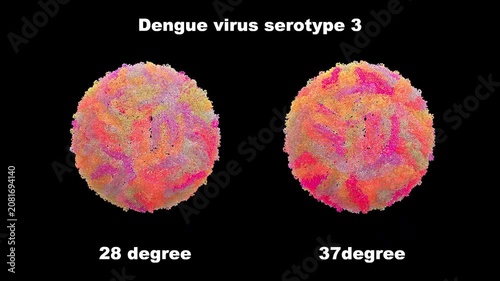 3D Structure of Cryo-EM Dengue Virus Serotype 3 DENV-3 Comparison at 28 and 37 Degrees Celsius, Thermally Stable Compact Smooth Surface Pathogen primarily for Immune Evasion and Vaccine Resistance.