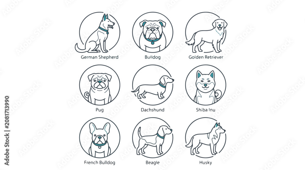 Fototapeta premium Flat lay illustration of various cartoon dog breeds in circular portraits on a white background