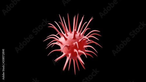 A 3D virus cell. The molecular structure. A bacterium under a microscope. A coral organism with thorns.