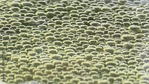 

Macro Abstract Texture of Dense Underwater Air Bubbles, Liquid Fluid Movement in Clear Pond.4k
