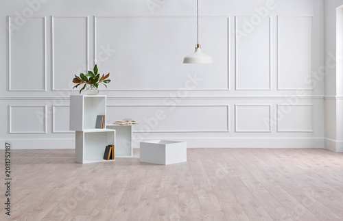 White classic wall background, brown parquet floor, home furniture detail, frame and vase of plant.