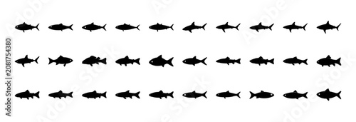 School of fish swimming in a line - A clean, minimalist vector illustration showing a group of fish swimming in a straight formation.