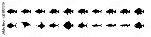 Black fish icons in swimming formation - Simple black fish icons arranged in a horizontal swimming line formation, perfect for website graphics or presentations.