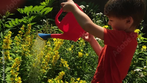 Summer vibes. Child watering flowerbed with yellow flowering plants in summer garden.