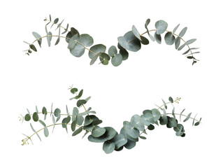 Eucalyptus Leaf Wave: Create a premium nature decor divider featuring fresh eucalyptus branches arranged in a graceful horizontal wave across the center of the composition, PNG format