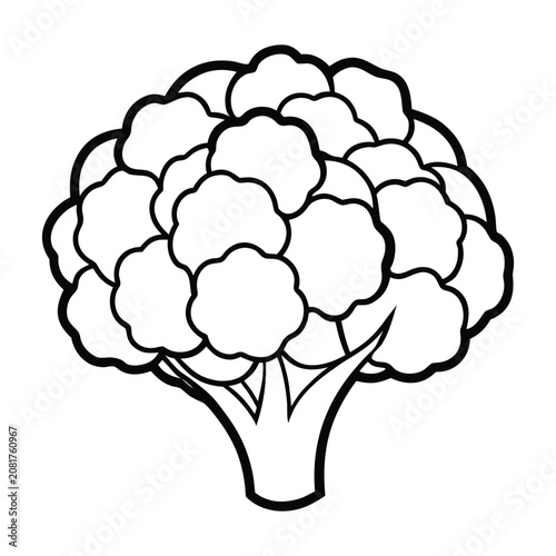 Farm fresh cauliflower vegetable outline vector icon for organic market branding and agriculture themed designs