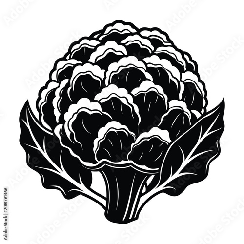 Detailed cauliflower vegetable silhouette vector illustration isolated on white background for healthy food and agriculture design