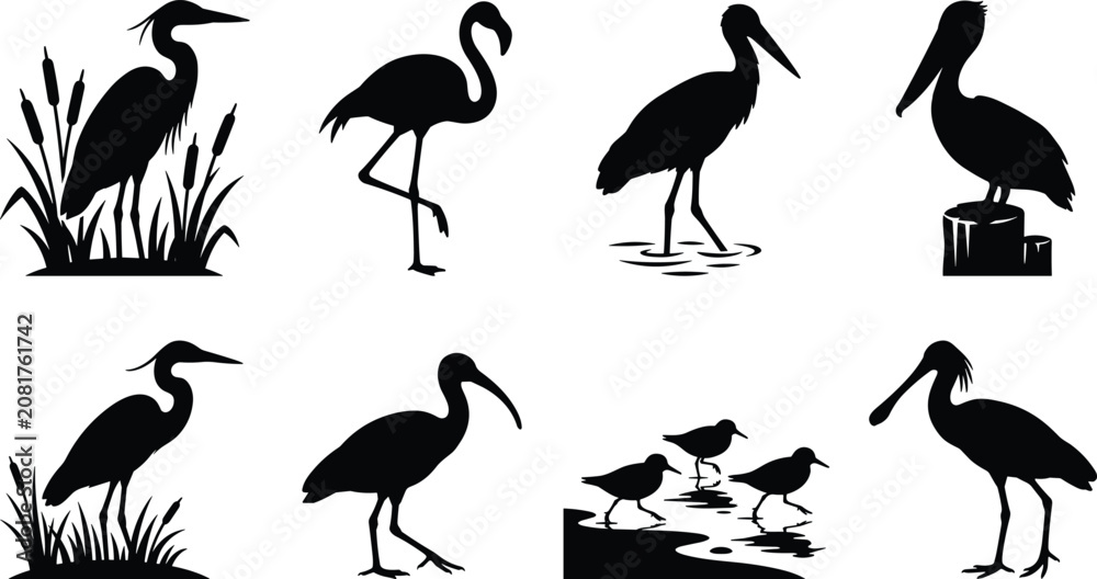 Obraz premium Black silhouette collection of wading birds including heron flamingo pelican and shorebirds on white background