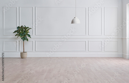 White classic wall background, brown parquet floor, home furniture detail, frame and vase of plant.