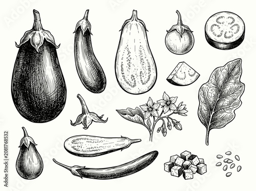 Hand drawn black ink sketch of eggplant variety and slice on white background