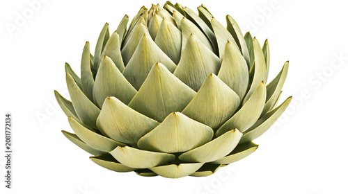 Foto Fresh green artichoke with layered petals, isolated on transparent background