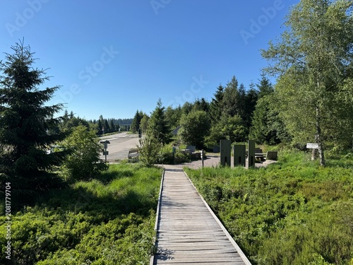 Canvastavla Lotharpfad adventure trail in the Black Forest National Park or Lothar education