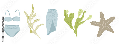 Illustration of swimwear, seaweed, and a starfish, featuring a light blue bikini, a wrap, and various green aquatic plants on a white background