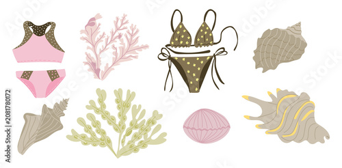 Illustration of various swimwear designs including a pink swimsuit, polka dot bikini, and assorted seashells and corals on a white background