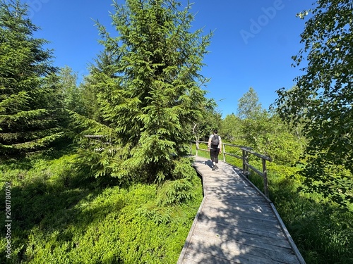 Принти на полотні Lotharpfad adventure trail in the Black Forest National Park or Lothar education