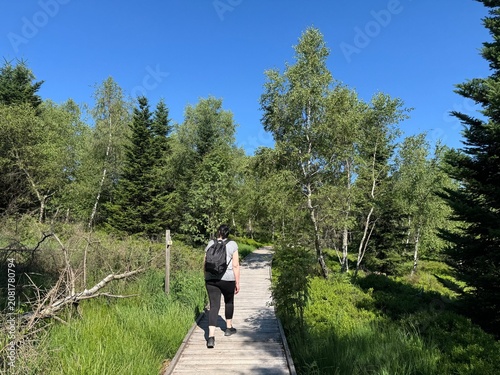 Cuadro en lienzo Lotharpfad adventure trail in the Black Forest National Park or Lothar education