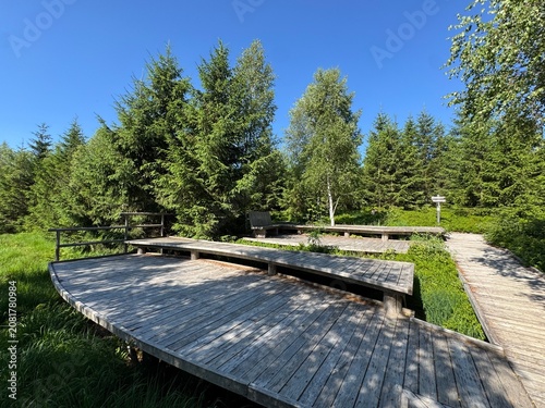 Canvas Print Lotharpfad adventure trail in the Black Forest National Park or Lothar education