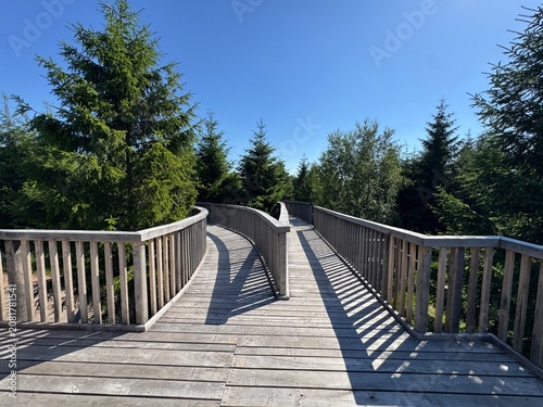 Photography Lotharpfad adventure trail in the Black Forest National Park or Lothar education
