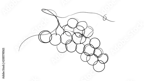 Hand drawn grape cluster sketch on white background.