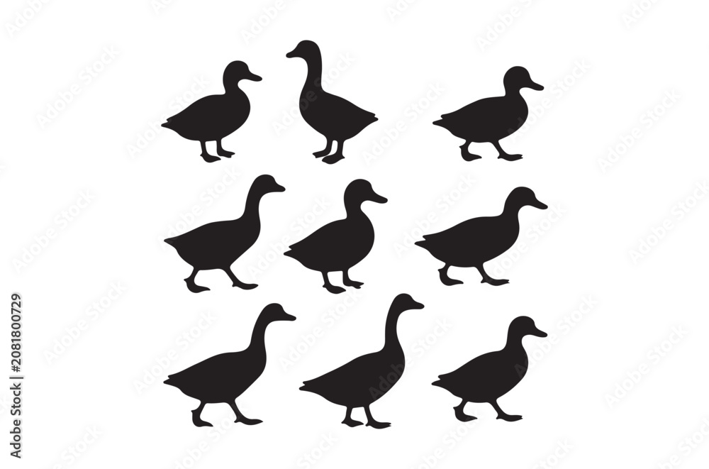 Fototapeta premium Duck silhouettes on a white background simple vector illustration