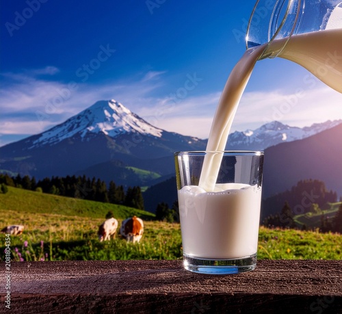 freshly milked milk enjoyed at the farm