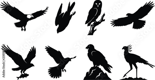 Foto Birds of prey and wild birds silhouette vector set isolated on a white backgroun