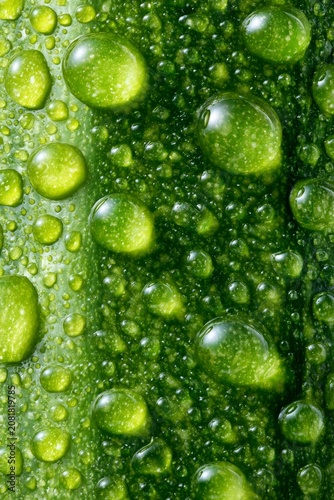 Green cucumber skin macro showing water drops freshness, vertical